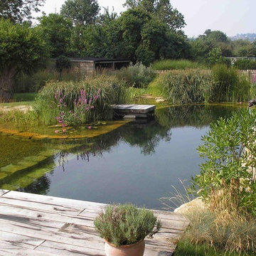 BioNova Natural Swimming Pools - International