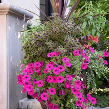 Flower pots