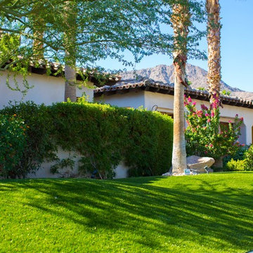 Mediterranean Side Yard