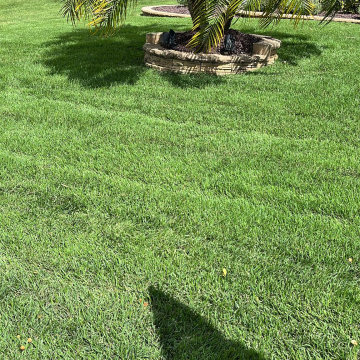 Athens EC  Landscaping LLC