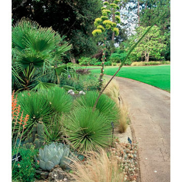 Sunset gardens' 50th anniversary remodel