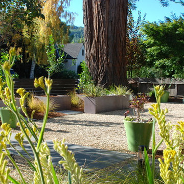 Contemporary Bungalow Front Yard