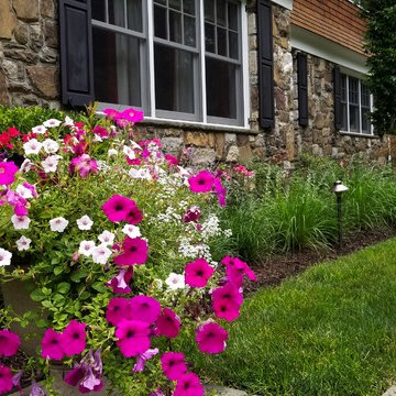 Front Entryway and Backyard Landscaping