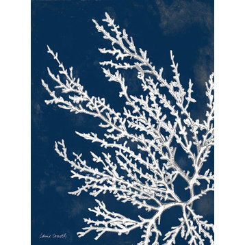 "Coastal Coral I" Canvas Art, 24"x36"