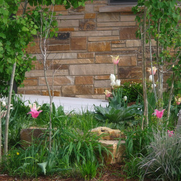 Louisville Project, Year Two: Bulbs As Key Factor In Successional Planting