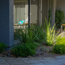 AZ landscaping