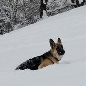 Alina Averick's photo