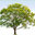 ProMark Landscaping, Inc.