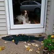 Melissa Dengeles's photo