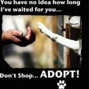 Cindy DuPriest's photo