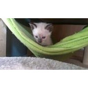 George Hage's photo