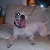 Craig Hebert's photo