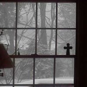 Lisa Plummer's photo