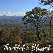 Lois Strong's photo