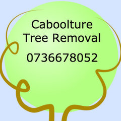 Caboolture Tree Removal