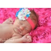 Emily Warnick's photo