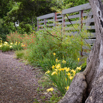 Garden for a modern house