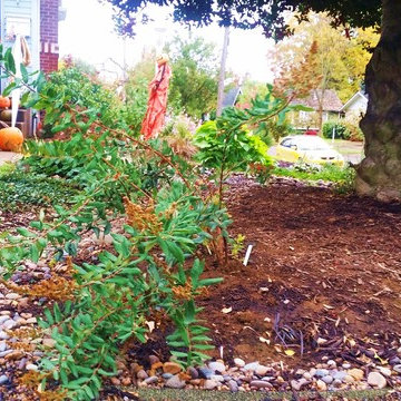 Woodstock Craftsman Cottage Rain Garden