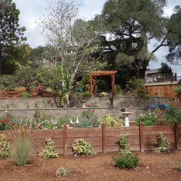 Ben Lomond garden
