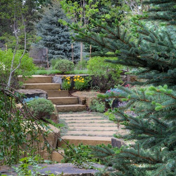 Oasis Amongst the Evergreens