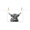 Highland Cow Black and White Wildlife / Animal Photograph Loose Wall Art Prints, 11" X 14"