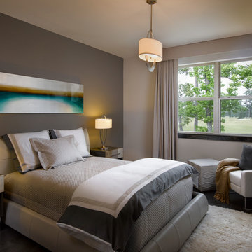 Transitional Bedroom