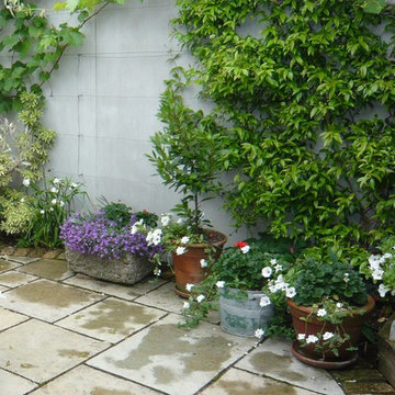 Romantic coutyard