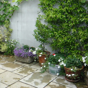 This is an example of an eclectic garden in London.