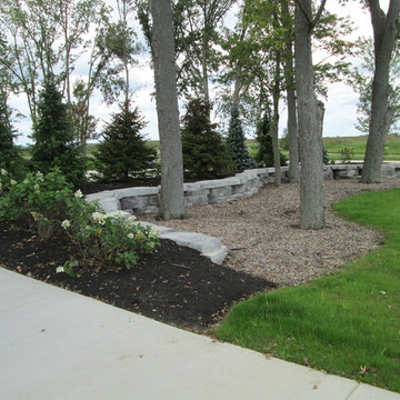 Tree Area Landscaping