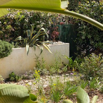 La garrigue en rez-de-jardin