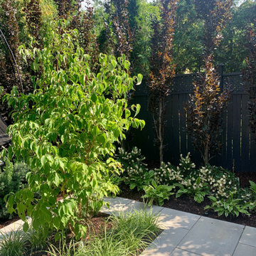 Bennington Heights