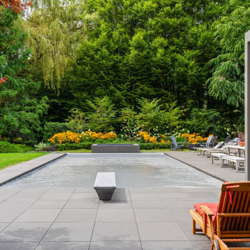 Modern Garden Lap Pool