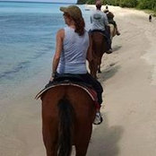 Tracy Terriere's photo