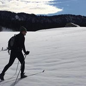 Matthew Bate's photo