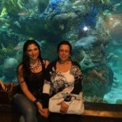 Rima Akoum's photo