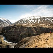 Patricia Davis's photo