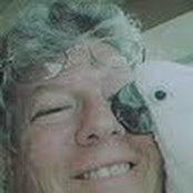Michael Roth's photo