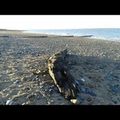 Louise Haggarty's photo