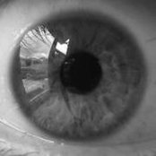 Nancy Strege's photo