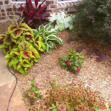 Frisco Landscaping