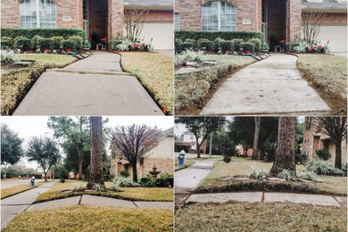 Sidewalk Tree Root Removal/Sidewalk Lowering