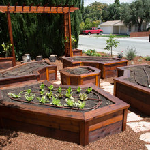 Front Yard vegetable garden