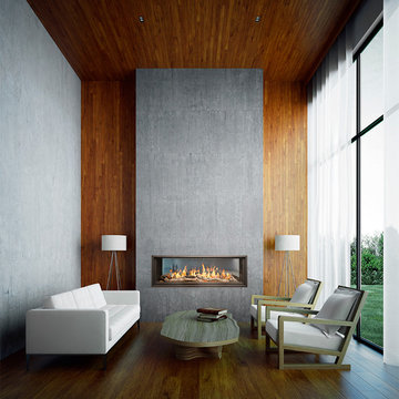 WS54 See-Thru gas fireplace