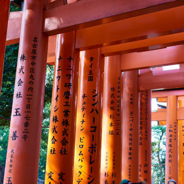 Travel Photography Japan