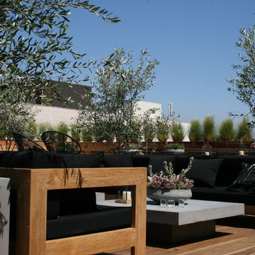 Roof deck & planter boxes/Landscaping.