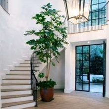 Front Door Ideas