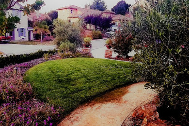 Photo of a landscaping.