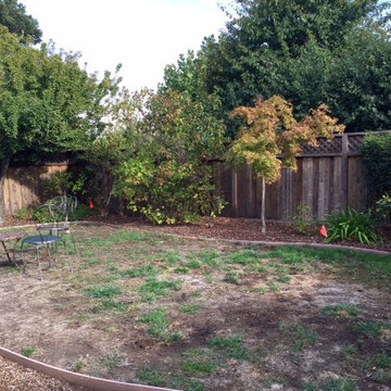The Lawn Goodbye & Hello To A New Inviting Spaces By Kim