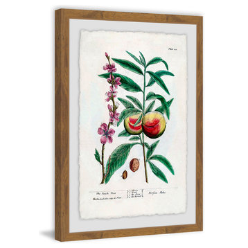 "Fruit Persica" Framed Painting Print, 24"x36"