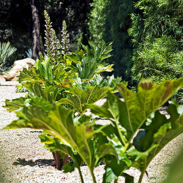New 1-Year-Old Garden